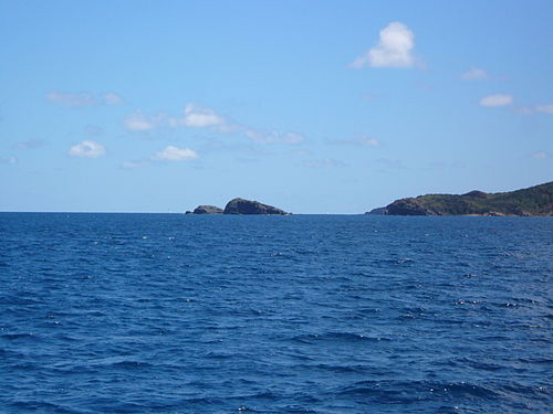 Cockroach Island